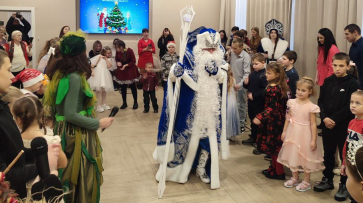 В Общественной палате Воронежской области провели новогоднее представление для 130 детей