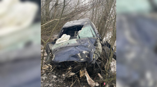 В Воронежской области Audi A6 вылетел в кювет и врезался в деревья: пострадали двое мужчин