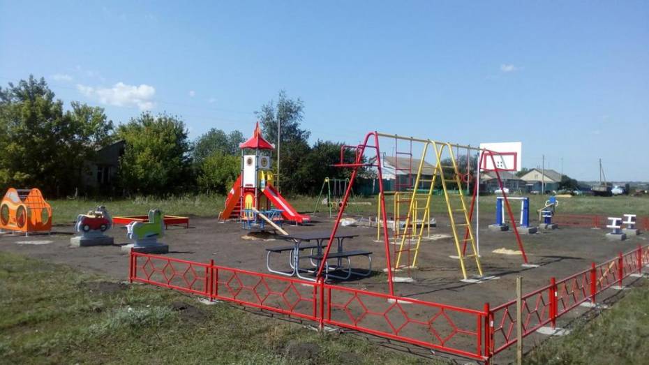 В грибановском селе Поляна сделали детскую площадку и спортивный комплекс