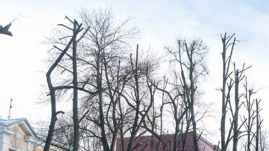 В Воронеже на 8 дней перекроют часть улицы Острогожская 