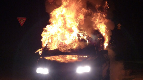 Жительница Воронежа поругалась со знакомой и сожгла ее машину за 600 тыс рублей