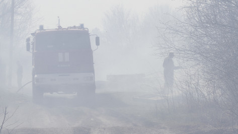 Очаги пожаров обнаружили практически во всех районах Воронежской области