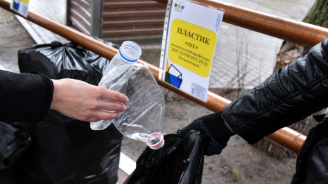 Посвященная переработке отходов экоакция пройдет в Воронежской области