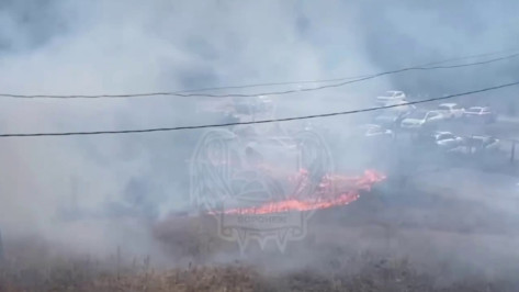 В Воронеже на улице 9 Января загорелись 80 «квадратов» сухой травы