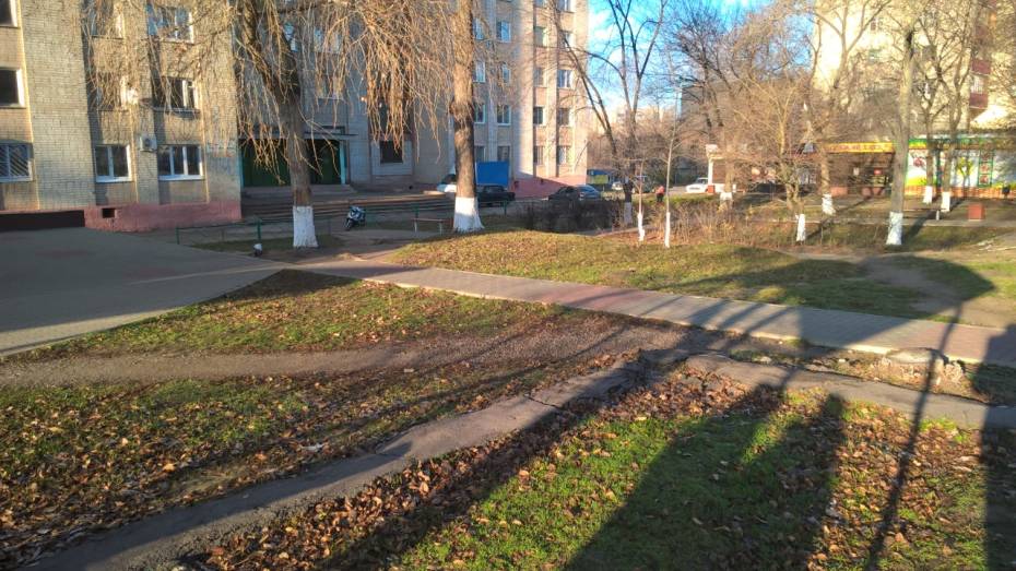 В Нововоронеже могут благоустроить сквер, набережную и городской парк