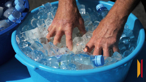 Аномальная жара накроет Воронежскую область в ближайшие пару дней