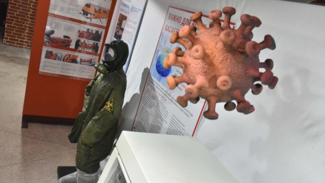 «Красная зона. 2020». Выставка о борьбе медиков с коронавирусом открылась в Воронеже