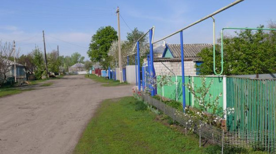 Лучшие воронежские поселения получат гранты от 0,5 до 1,25 млн рублей