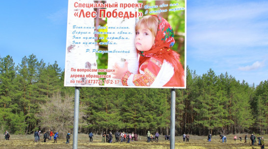 Житель Семилук заплатит штраф за опустошение ассенизаторской машины по соседству с «Лесом Победы»