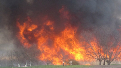 Власти Хакасии оценили ущерб от пожаров в 7 млрд рублей