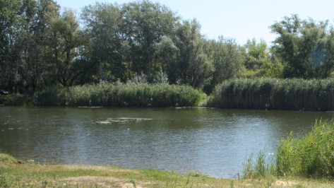В Воронежской области утонул 40-летний мужчина