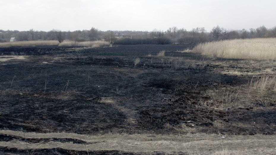 Сезон ландшафтных пожаров стартовал в Воронежской области