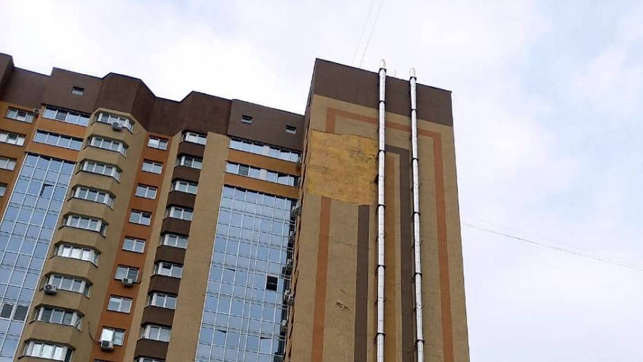 Соцсети: ветер сломал в Воронеже дерево и сорвал облицовку с 17-этажки