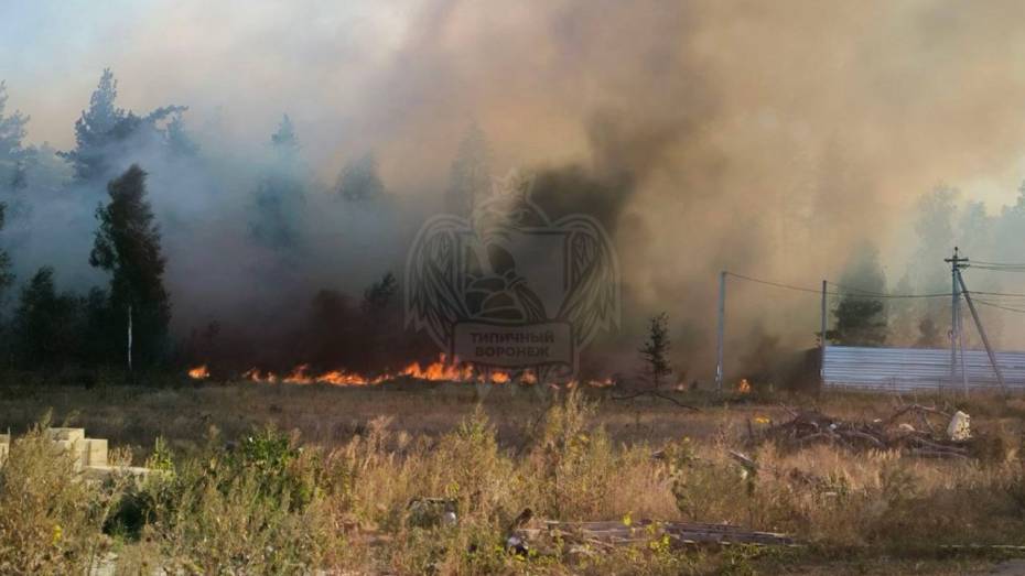 Пожар в селе Ямное под Воронежем попал на видео