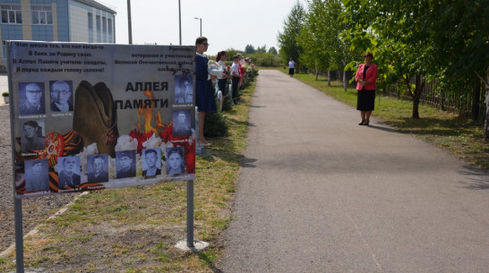 В верхнемамонском селе Лозовое открыли Аллею Памяти учителям-фронтовикам