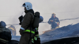 В Воронежской области сгорел склад с 18 т семечек