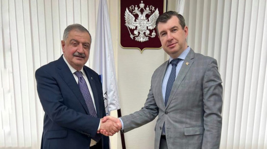 Первый зампред воронежского правительства Данил Кустов обсудил развитие Нововоронежа с представителем «Росэнергоатома»