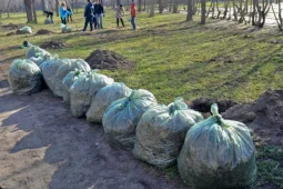 В Воронежской области в ходе месячника благоустройства убрали более 13 тыс га территорий
