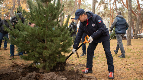 Председатель Воронежской облдумы Юрий Матузов и депутаты регионального парламента приняли участие в общеобластном субботнике