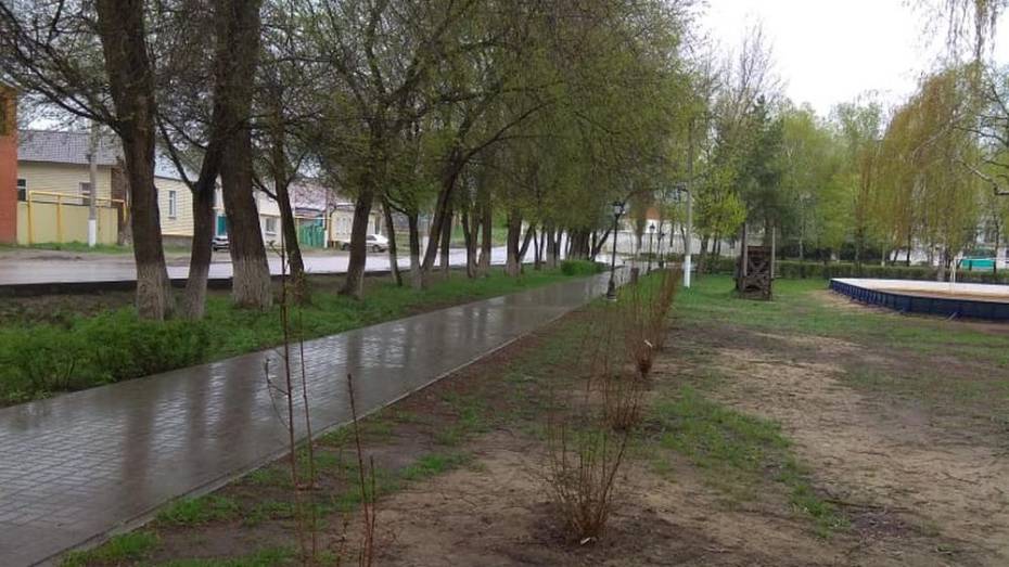 В Павловске высадили более 600 саженцев деревьев и кустарников