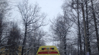 На «улице смерти» в Семилуках водитель сбил женщину и скрылся