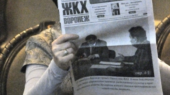 В Воронежской области проекты ТОСов профинансируют грантами 