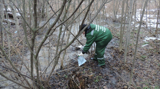 Воронежская УК выплатила 3,8 млн рублей за слив канализационных стоков