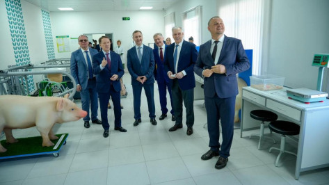 В воронежском Павловске обсудили перспективы агропромышленного комплекса региона