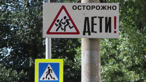 В Воронеже мотоциклист сбил 6-летнюю девочку на пешеходном переходе и сбежал