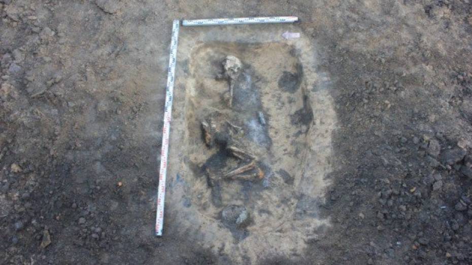 В Воронежской области обнаружили три погребения, которым более 4 тыс лет