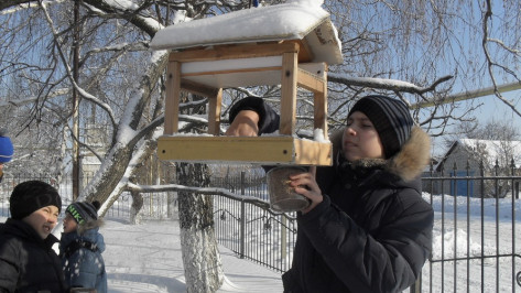 Нижнедевицкие школьники провели акцию «Покормите птиц зимой»