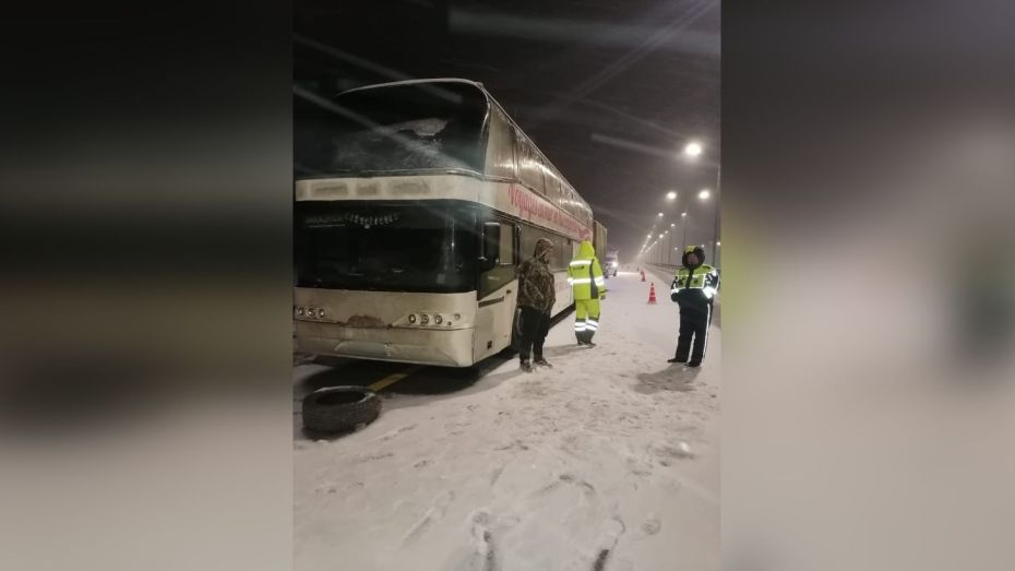 Воронежские инспекторы ДПС помогли 18 пассажирам сломавшегося на трассе в мороз автобуса