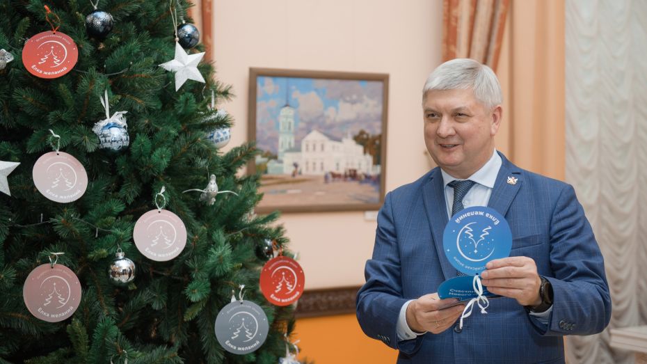 Губернатор Александр Гусев исполнит новогодние мечты трех воронежских детей