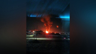 Два частных дома сгорели в селе под Воронежем вечером 26 марта