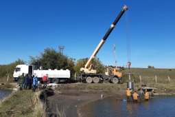 Более 500 тыс мальков сазана выпустили в реку Икорец в Воронежской области