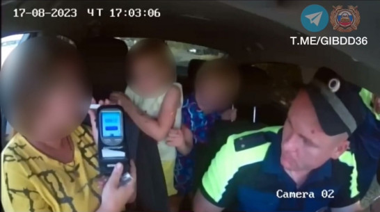 Воронежская полиция уберегла 3 детей от поездки в машине с пьяной матерью за рулем