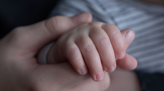 Первые выплаты единого семейного пособия поступят воронежцам в январе