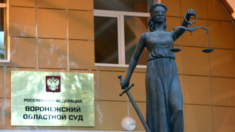 Воронежский облсуд отменил амнистию для обманувшего банк директора 