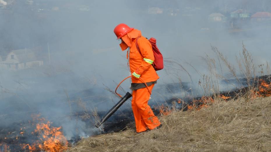 В Рамонском районе за выходные произошло 38 пожаров