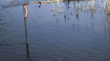 Подрядчика для определения границ зон затопления в Воронеже выберут 8 декабря