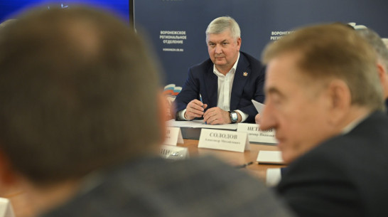 Губернатор Александр Гусев намерен возглавить Воронежское отделение партии «Единая Россия»