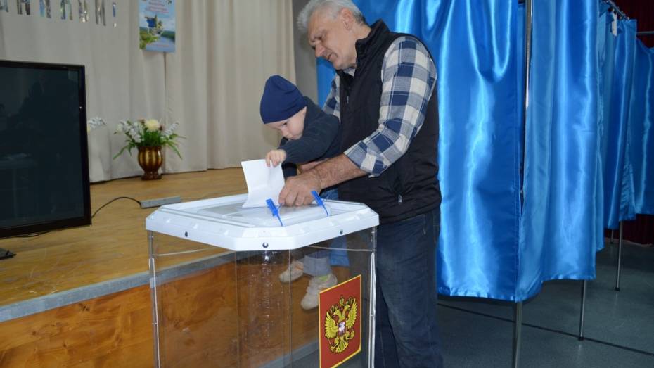 В 8 поселениях Поворинского района выберут глав и местных депутатов