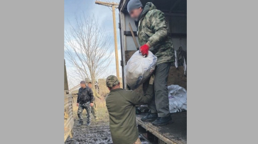 Из Репьевского района в зону СВО передали более 300 кг овощей