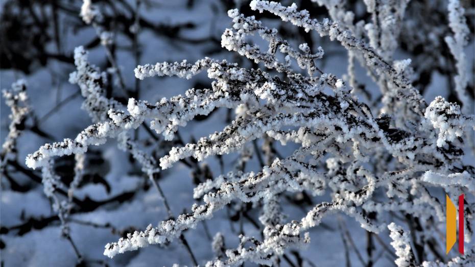 Пасмурные и морозные выходные ожидают воронежцев