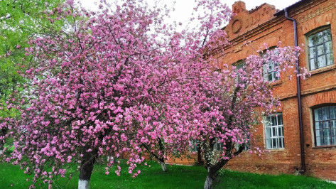В подгоренском селе Белогорье отремонтируют старейшую школу района