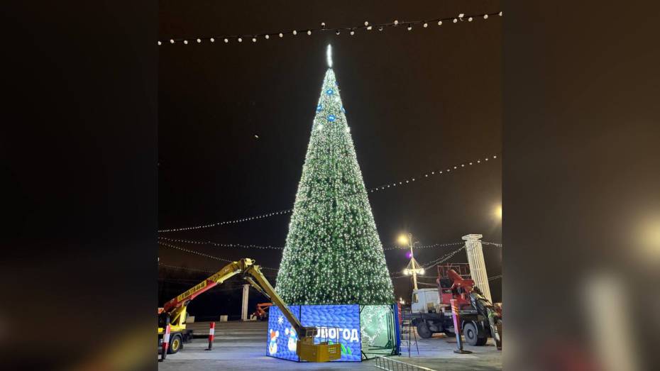 На Адмиралтейской площади в Воронеже установили 18-метровую новогоднюю елку