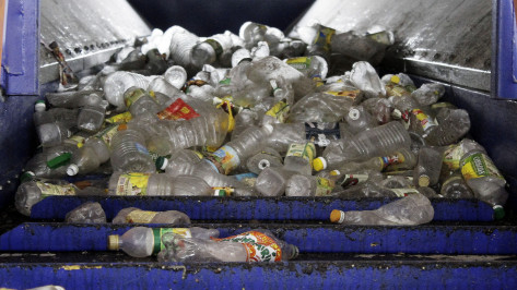 На раздельный сбор мусора в Воронежской области потратят 500 млн рублей в 2020 году
