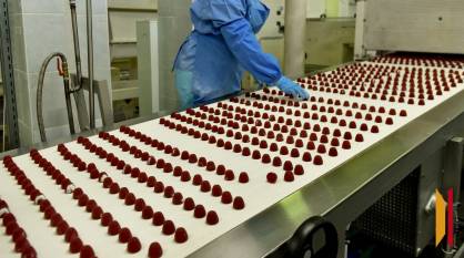 Приставы изъяли в доход государства крупную кондитерскую фабрику под Воронежем