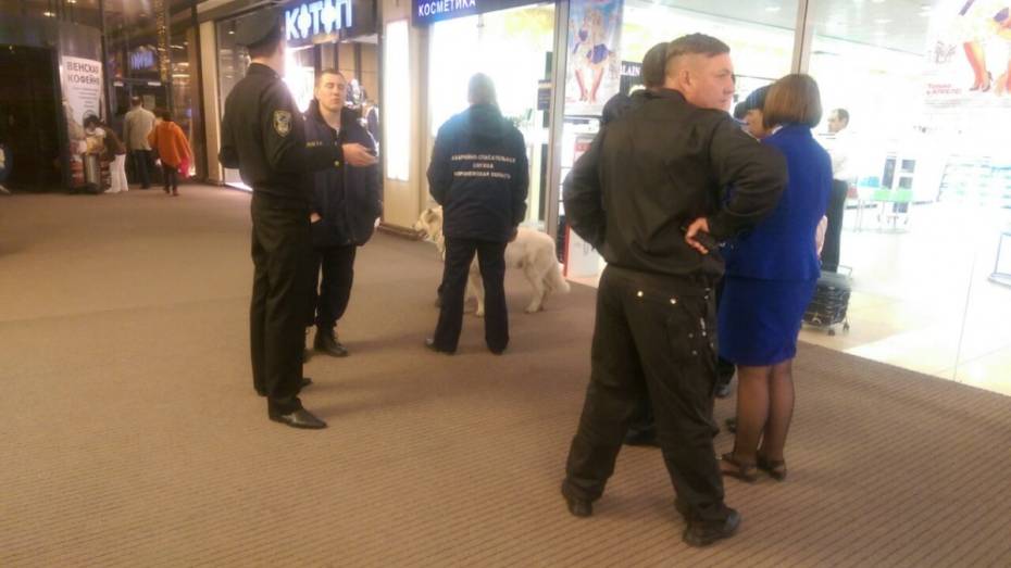 В Воронеже попался «заминировавший» торговый центр «Галерея Чижова» мужчина