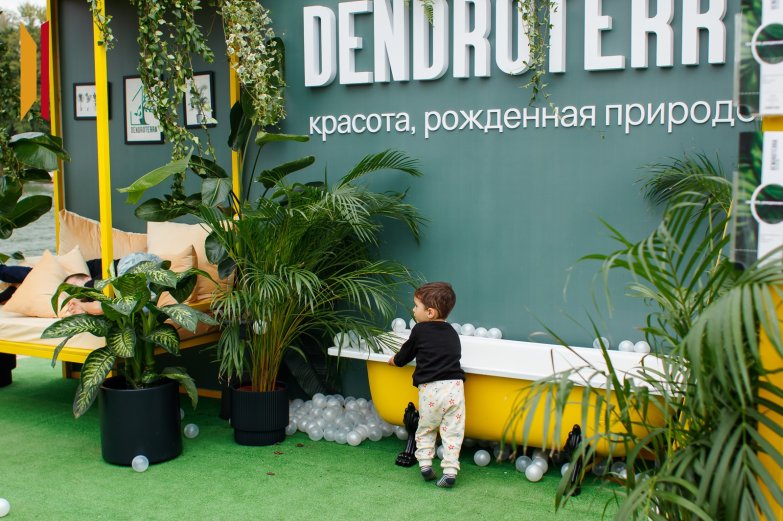 Дендратерра